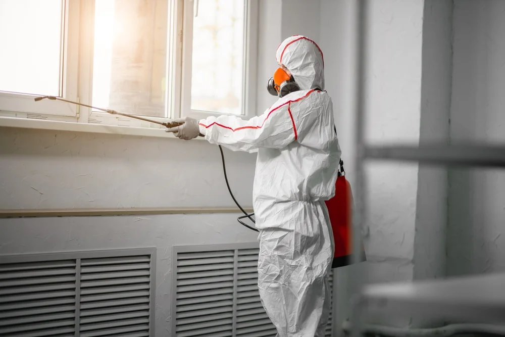 Professional mold remediation services in Gibbsboro, NJ